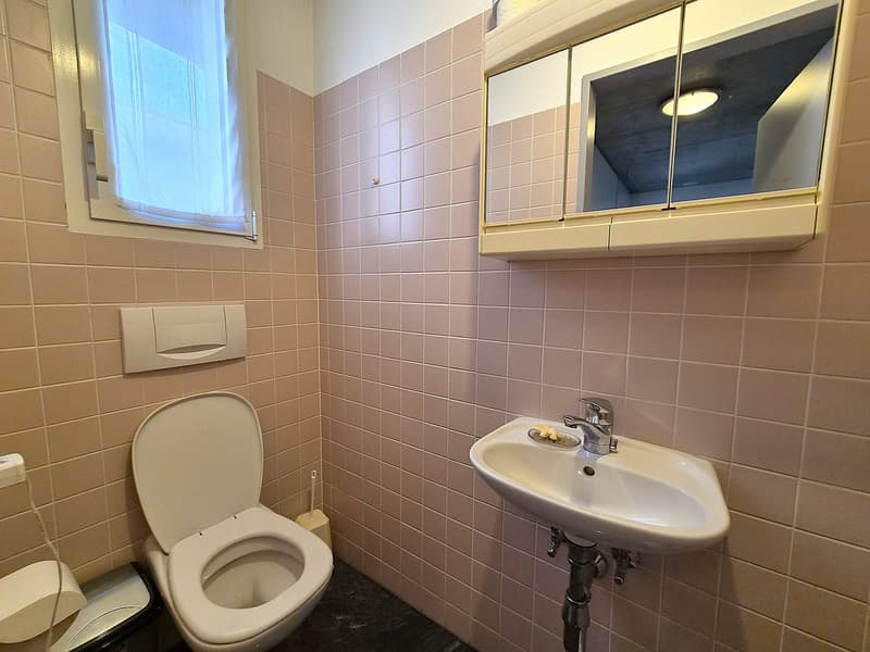 NUOVO PREZZO! anche RENT TO BUY. Moderna villa bifamiliare con ampio giardino, (21)