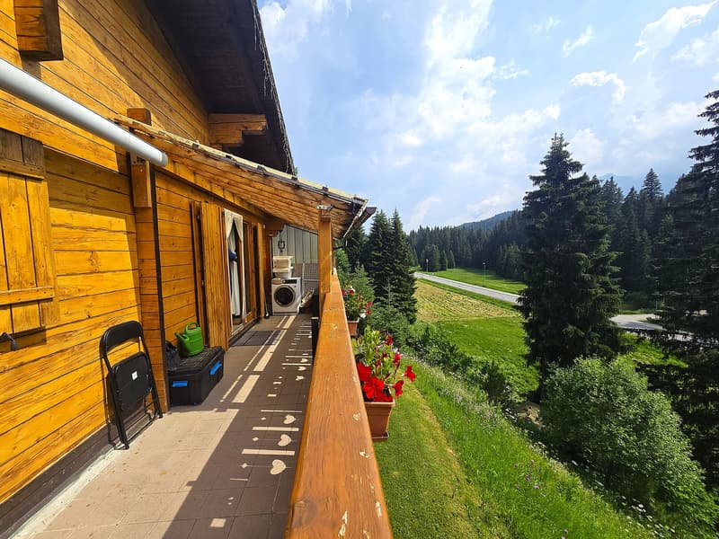 schönes Doppelchalet mit Garten und herrlicher Aussicht (30)