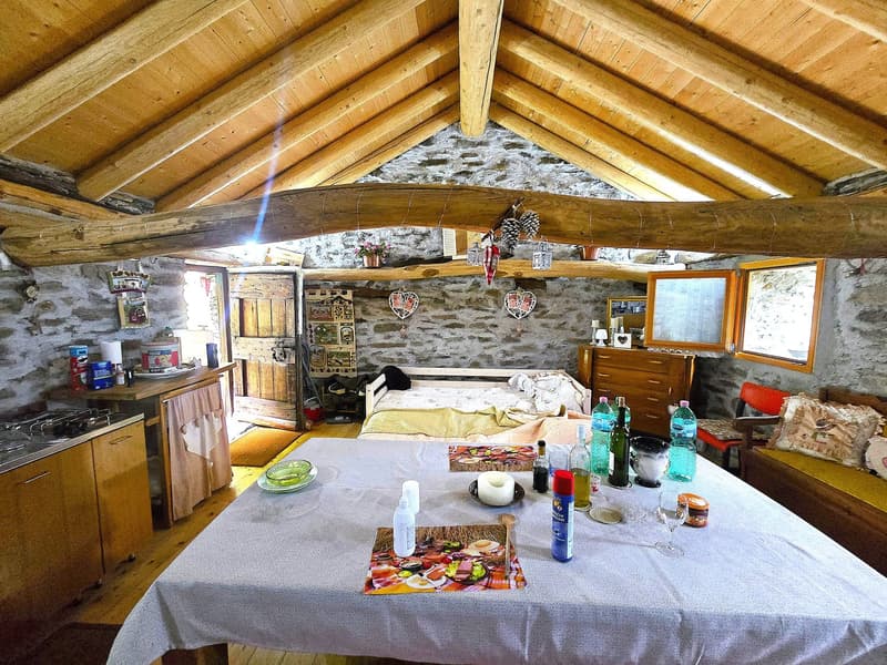 Rustico und Grotto mit grossem Grundstück und schöner Aussicht (7)