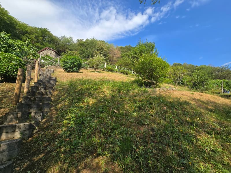Rustico und Grotto mit grossem Grundstück und schöner Aussicht (25)