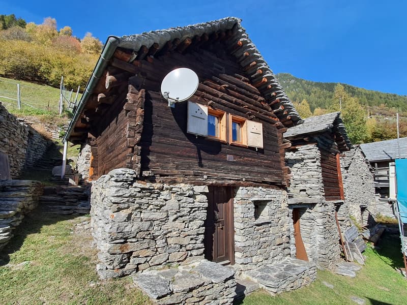 2 Bergbauernhöfe mit grossem Land an einem sehr sonnigen Ort (1)