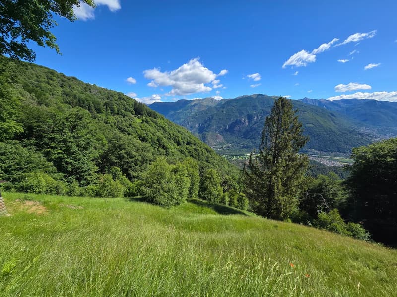 schönes Berghaus inmitten der Natur mit Seeblick und Land (24)