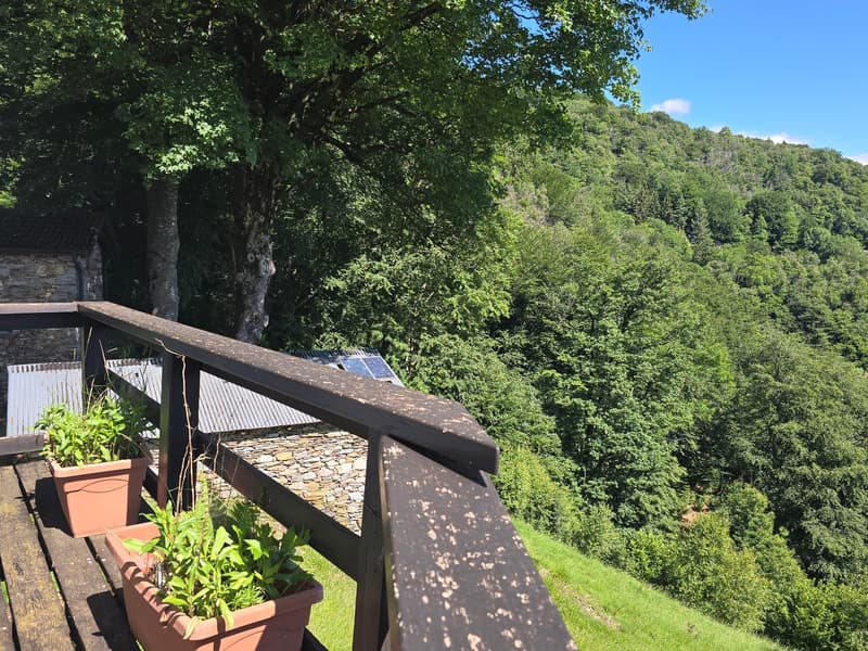 schönes Berghaus inmitten der Natur mit Seeblick und Land (18)