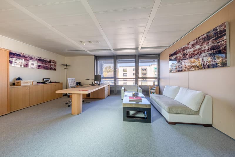 Bureaux 810 m2 (6)