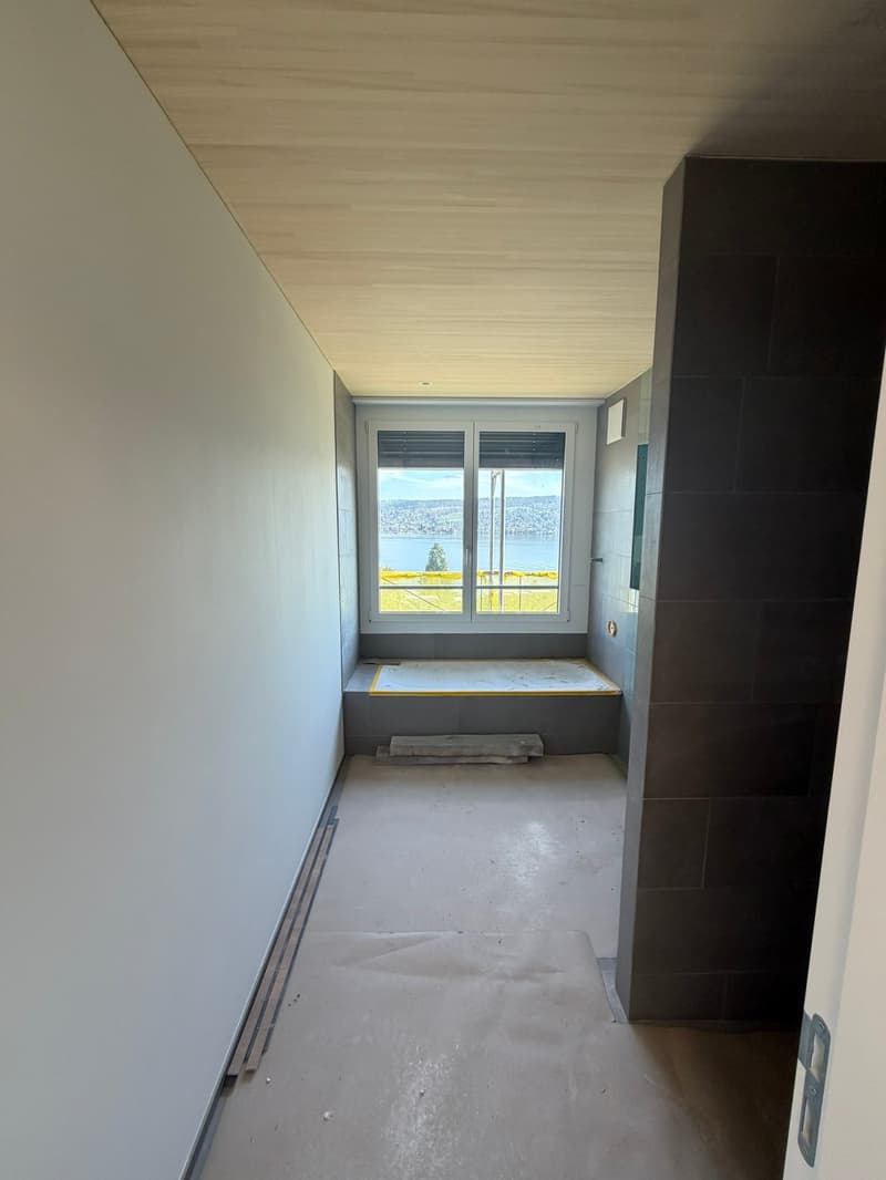 Appartamento appena ristrutturato in una posizione centrale a Thalwil con vista sul lago (5)
