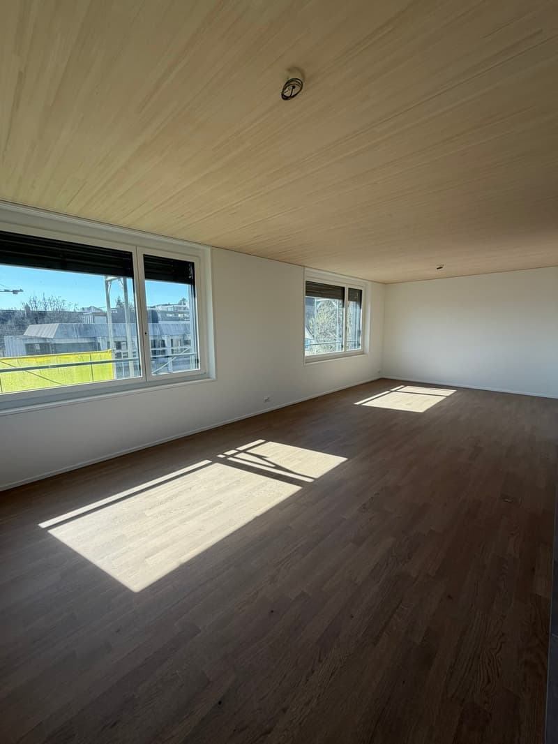 Appartamento appena ristrutturato in una posizione centrale a Thalwil con vista sul lago (3)