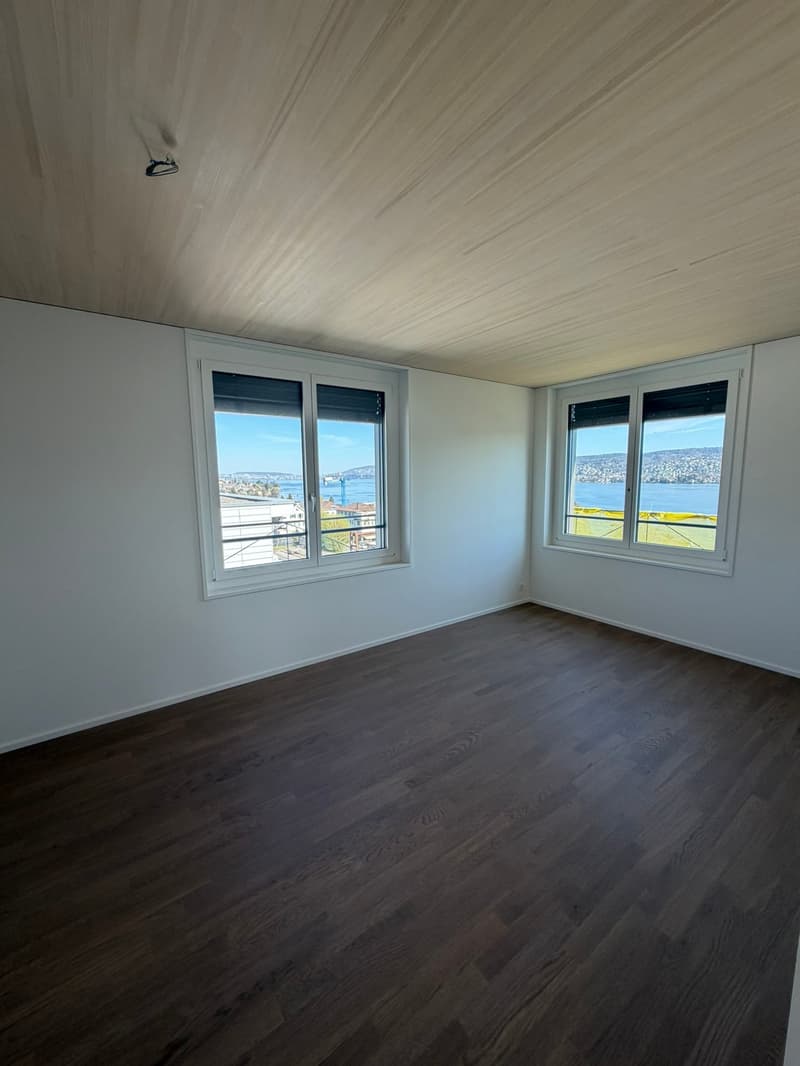 Appartamento appena ristrutturato in una posizione centrale a Thalwil con vista sul lago (7)