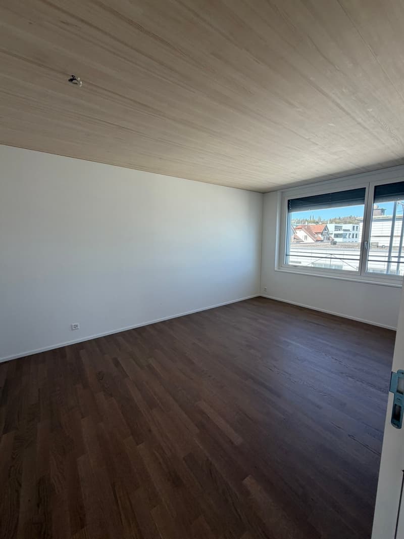 Appartamento appena ristrutturato in una posizione centrale a Thalwil con vista sul lago (8)