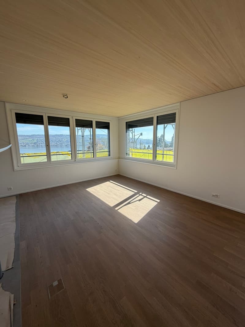 Appartamento appena ristrutturato in una posizione centrale a Thalwil con vista sul lago (2)