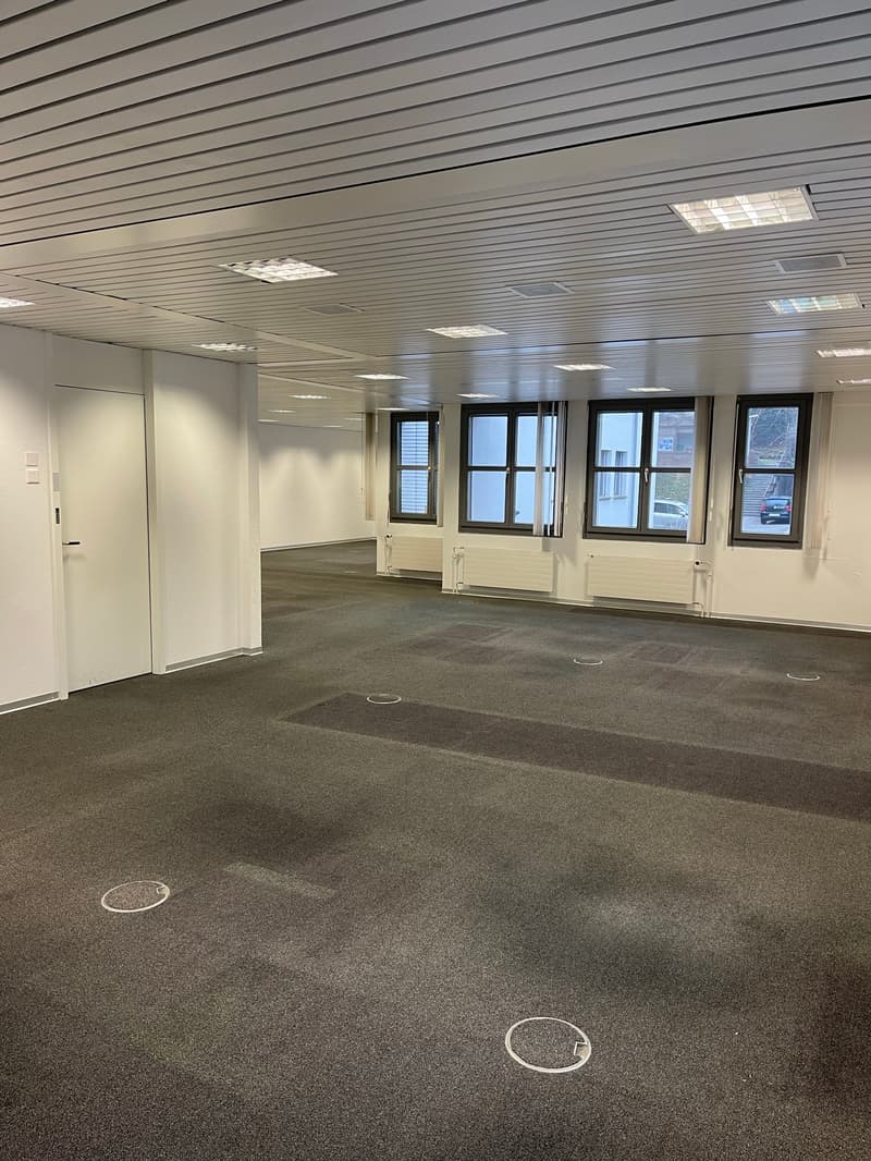 Central and spacious commercial space on Lake Zurich (2)
