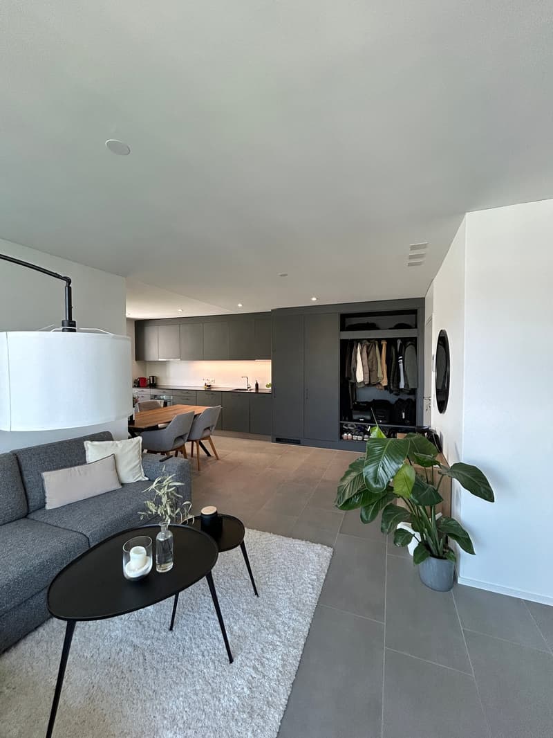 Newly built apartment with high-quality finishes and loggia (2)