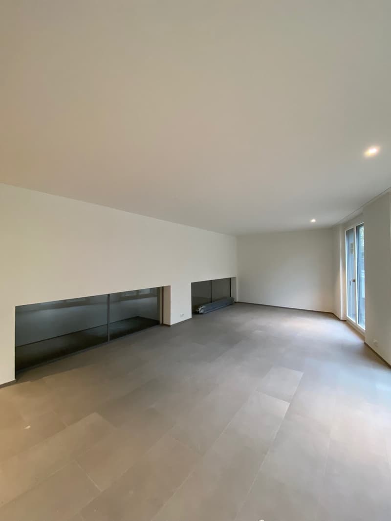 Moderne, grosszügige Loftähnliche Wohnung (1)