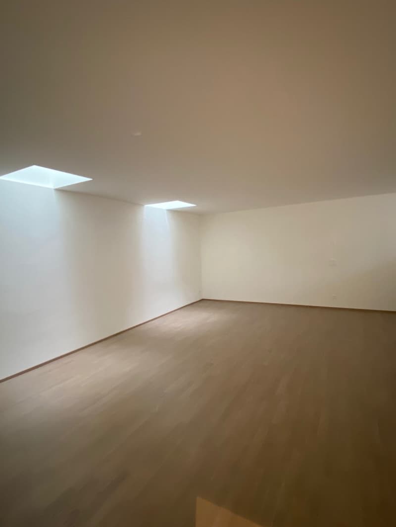 Moderne, grosszügige Loftähnliche Wohnung (3)