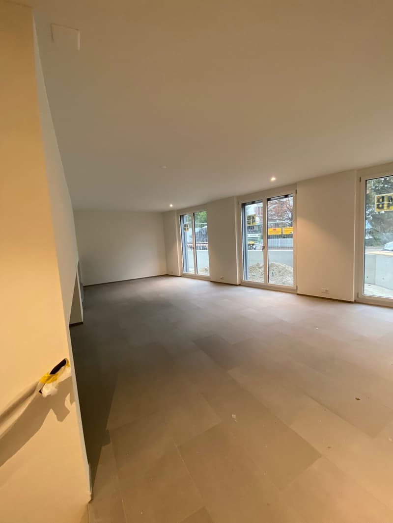 Moderne, grosszügige Loftähnliche Wohnung (2)