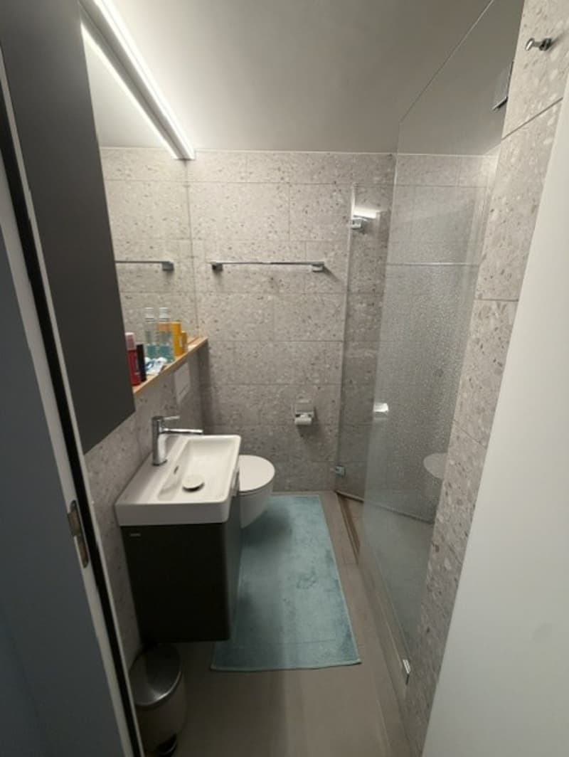 Moderne 2.5-Zimmer-Wohnung im Seefeld (6)