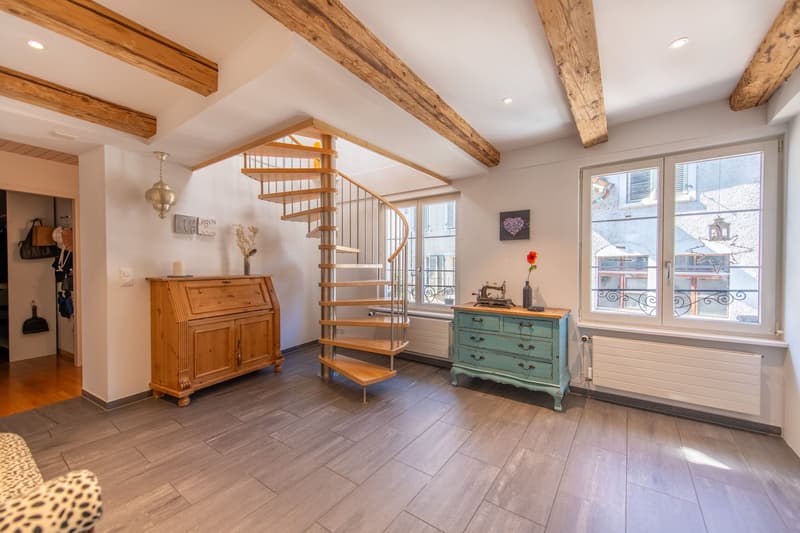 Duplex apartment in old building style with dream terrace & development potential (7)