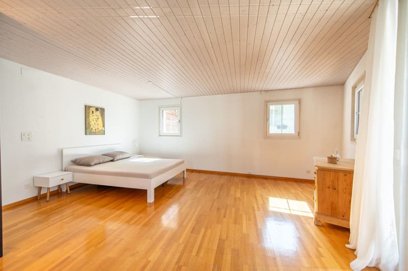 Duplex apartment in old building style with dream terrace & development potential (8)