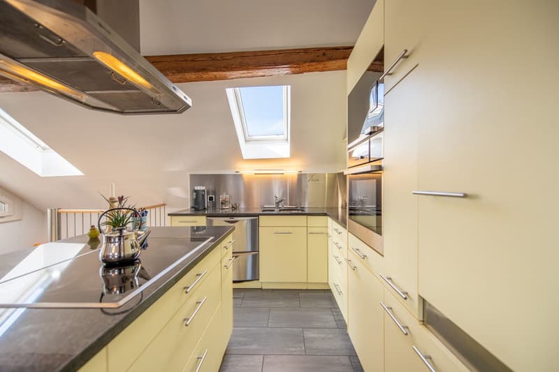 Duplex apartment in old building style with dream terrace & development potential (4)