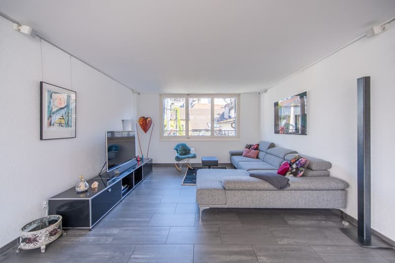 Duplex apartment in old building style with dream terrace & development potential (6)