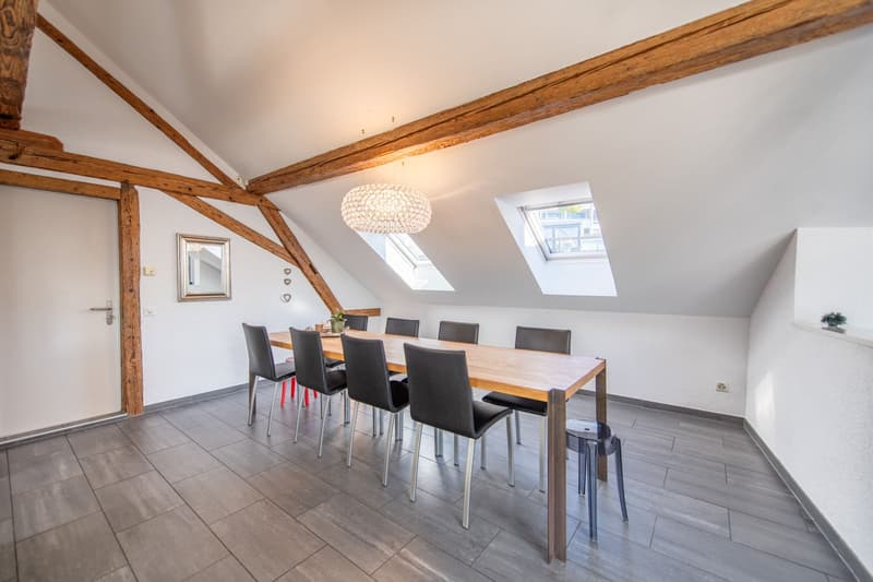 Duplex apartment in old building style with dream terrace & development potential (3)
