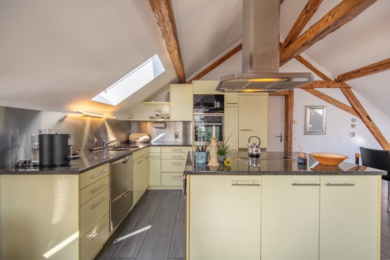 Duplex apartment in old building style with dream terrace & development potential (2)
