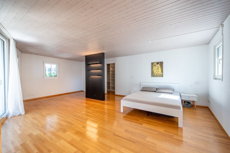 Duplex apartment in old building style with dream terrace & development potential (9)