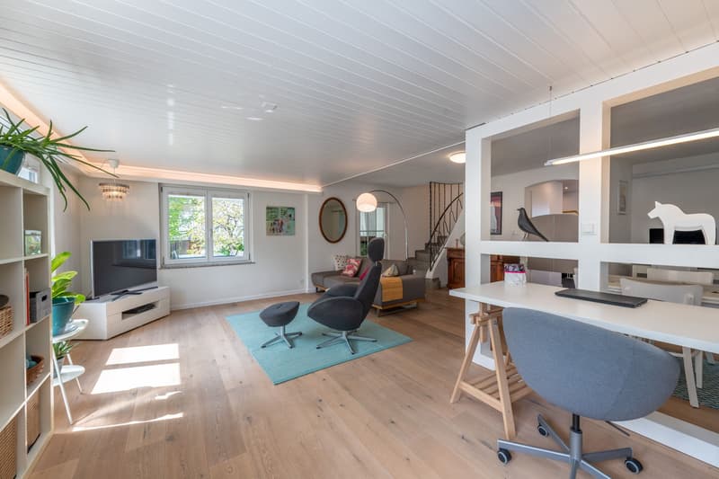 Modern house with flexible space and possible in-law apartment (3)