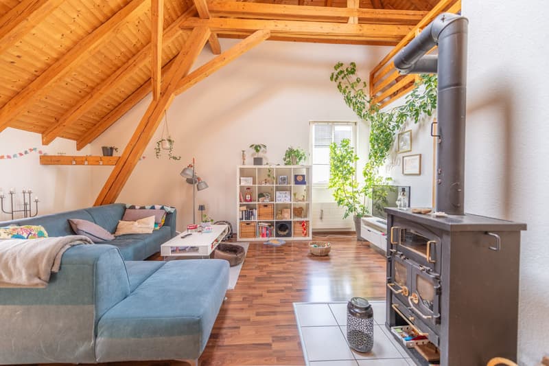 Investment with style - Fully rented multi-family house with 4.95% return (9)