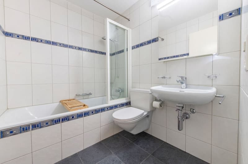 Bright 5.5-room high-parterre apartment with a lot of living comfort (7)