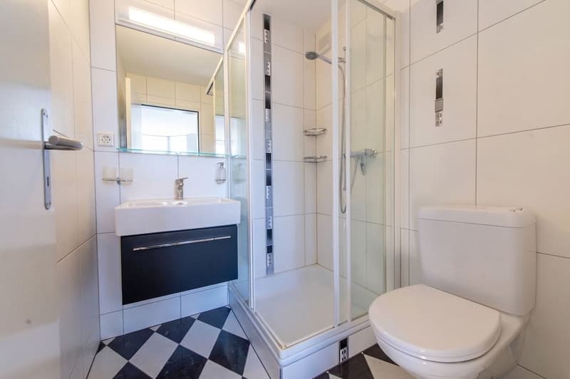 Bright 5.5-room high-parterre apartment with a lot of living comfort (11)