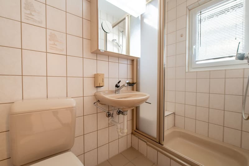Well-maintained semi-detached house with plenty of space for family life (7)