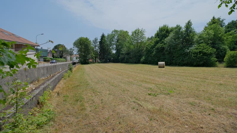 1'691 m² di terreno a Langendorf (5)