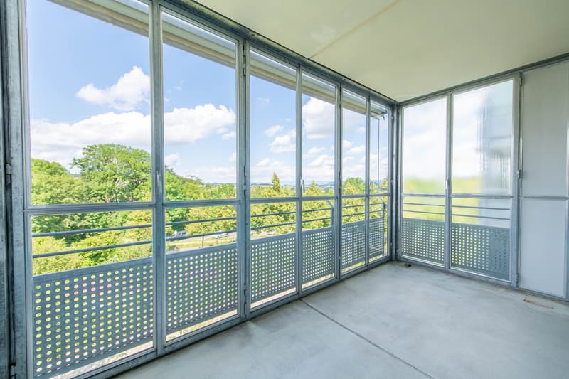 Spacious, in a green area and with its own laundry room & large balcony! (13)
