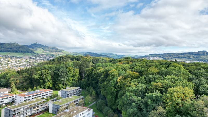 206 m² di spazi esclusivi per uffici in una posizione centrale (5)