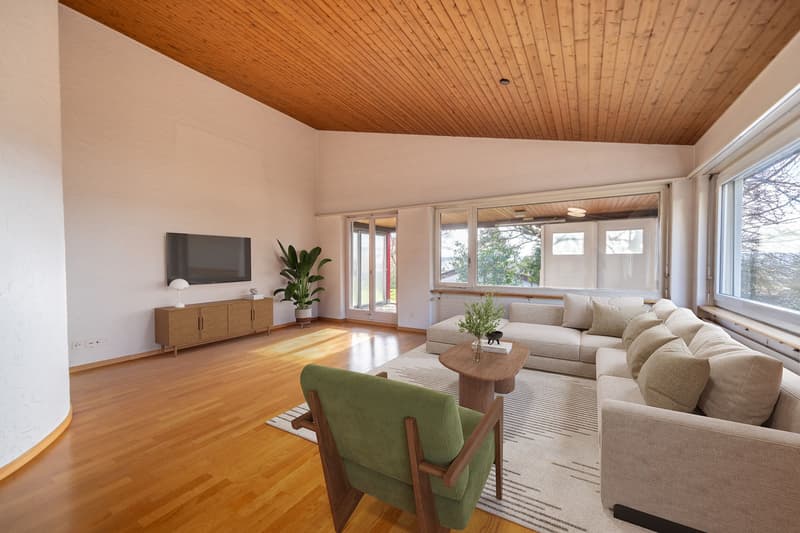 Space for Ideas: Spacious Single-Family House on Two Floors (2)