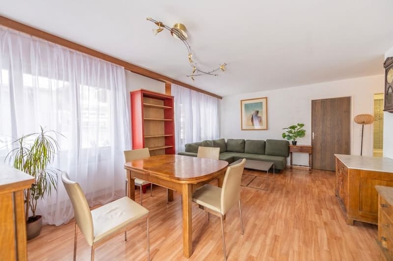 Vivere con panorama di montagna - appartamento 4,5 locali con terrazza unica (3)