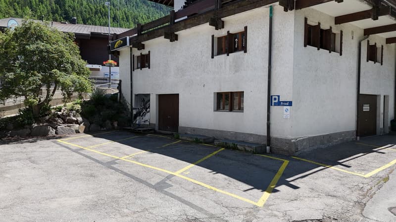 Vivere con panorama di montagna - appartamento 4,5 locali con terrazza unica (12)