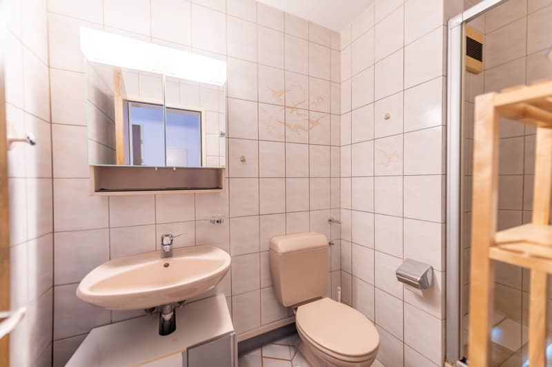 Vivere con panorama di montagna - appartamento 4,5 locali con terrazza unica (9)
