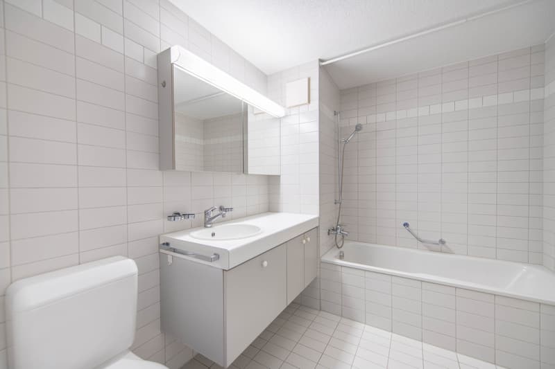 Appartement spacieux 2.5 pièces dans une oasis verte (10)