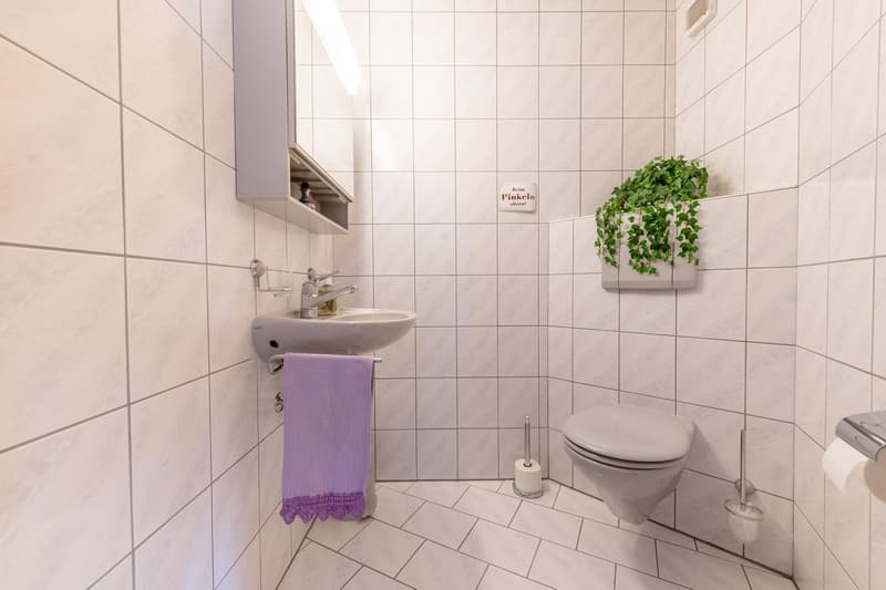 Vivere con vista panoramica - Casa a schiera curata con giardino bello (5)
