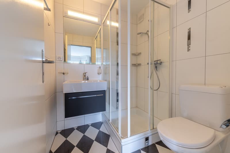 Appartement attrayant au rez-de-chaussée avec cheminée et beaucoup d'espace de stockage (8)