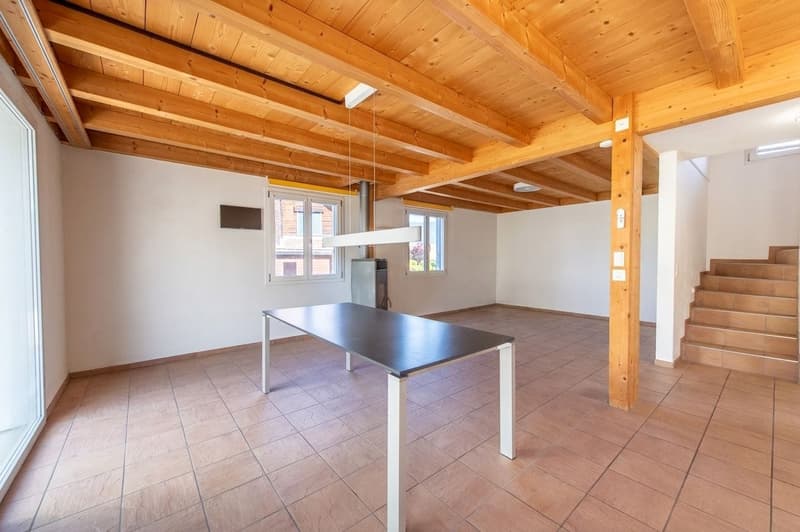 A home to feel good in - bright living ambiance, fireplace and sunny terrace (6)
