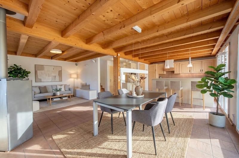 A home to feel good in - bright living ambiance, fireplace and sunny terrace (2)