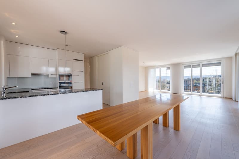 Seltene Gelegenheit: Attikawohnung mit 124 m² Terrasse an begehrter Lage (6)