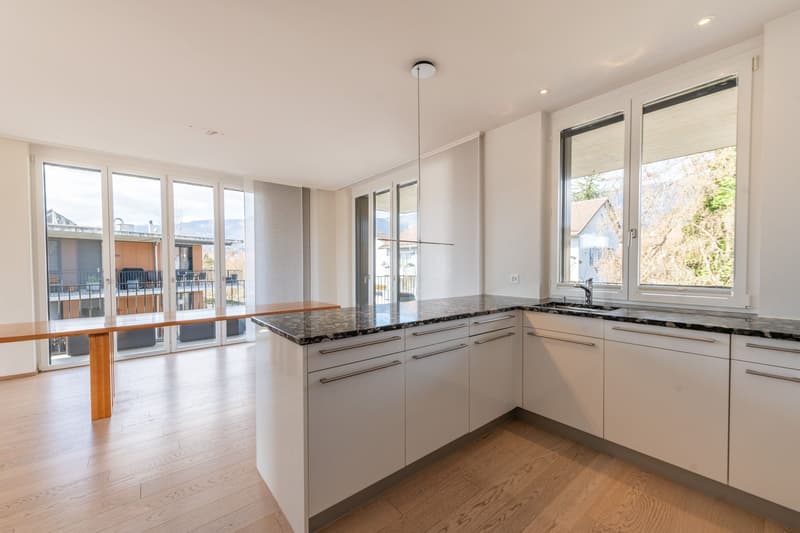 Seltene Gelegenheit: Attikawohnung mit 124 m² Terrasse an begehrter Lage (4)