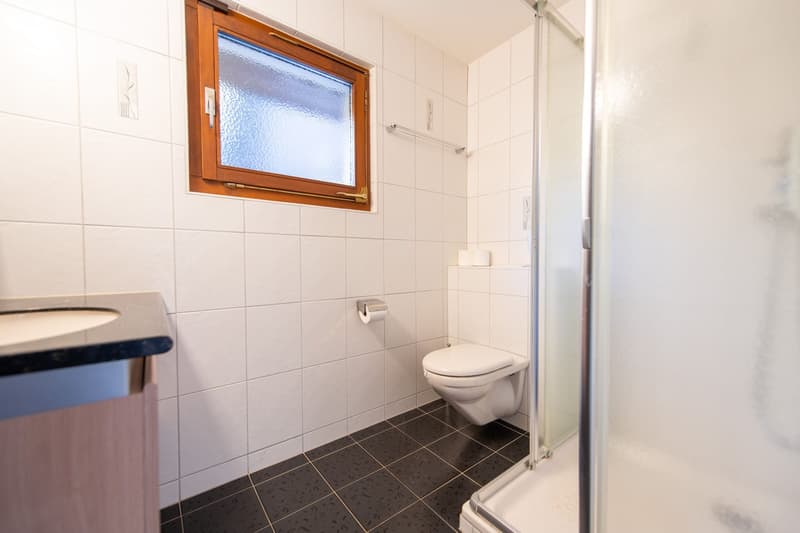 Idyllic and close to the city: Your new home with a large sun terrace (10)