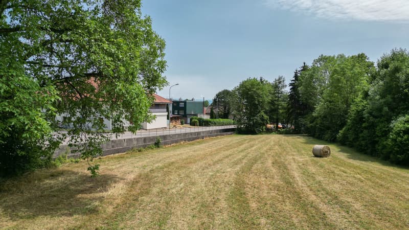 1'691 m² Landparzelle in Langendorf (2)