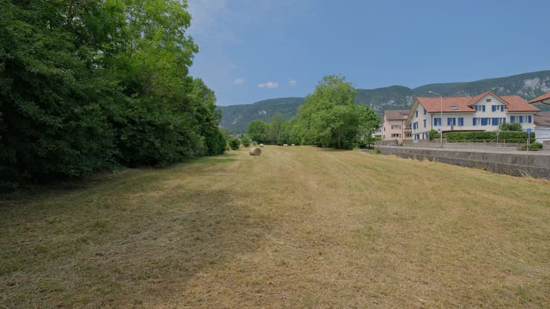 1'691 m² Landparzelle in Langendorf (3)