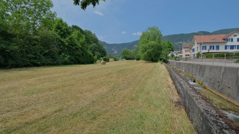 1'691 m² Landparzelle in Langendorf (8)