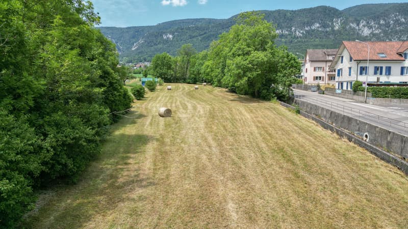1'691 m² Landparzelle in Langendorf (6)
